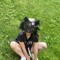 quadrocopter