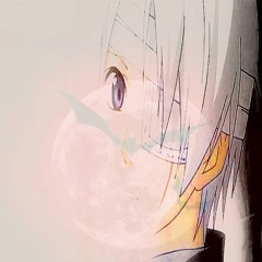 sunchaser