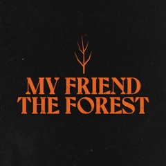 My Friend the Forest