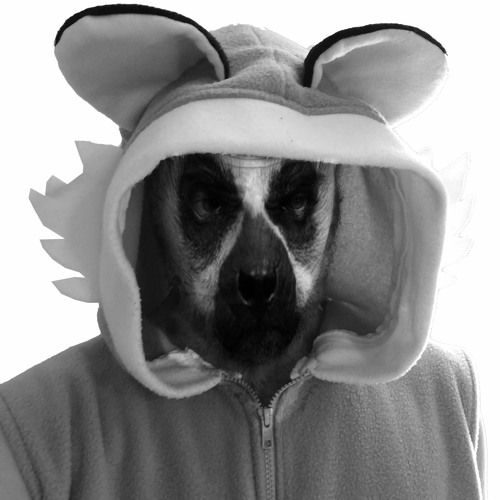 Shake da Booty DJ’s avatar