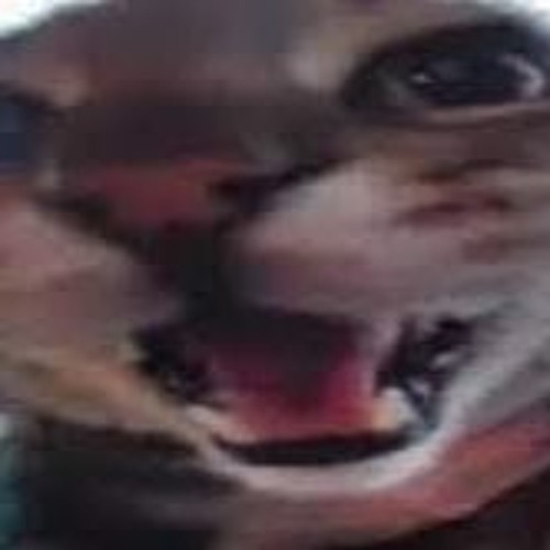 Your likes from Spotify