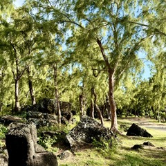 Around the world_[P@te1979].mp3