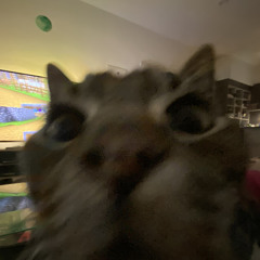 🆗