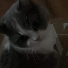 xswaf