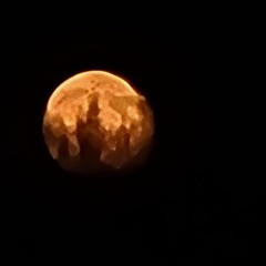 Nostimi soupa ston omorfo kosmo tou sfageiou