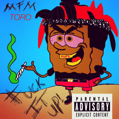 mfmToro