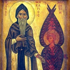 Monastery of saint Macarius the great
