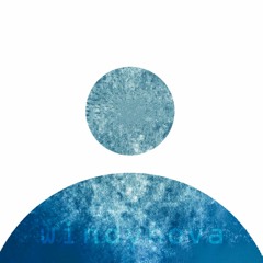 A3