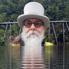 Martin J. Schwarz