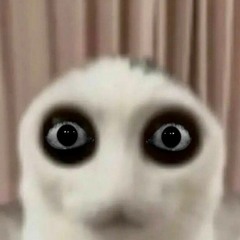 psycopote.exe