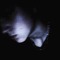 ☆Br0k3n_ghost☆