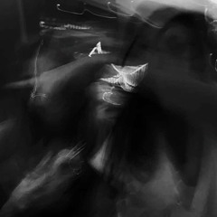 lumen