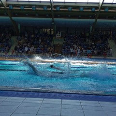 Gocha