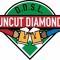 Uncut Diamond