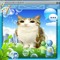 I LOVE MEOWL