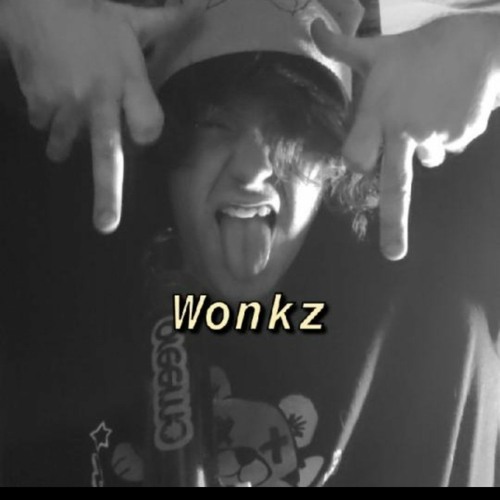 WoNkZ’s avatar