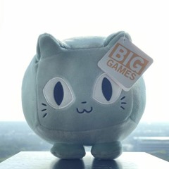 Huge Pog Cat