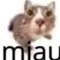 socool.mp4