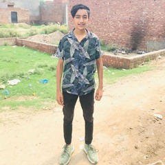 Ladi Malik Malik
