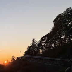 樫崎