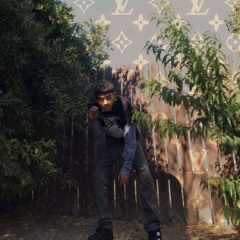 DMON