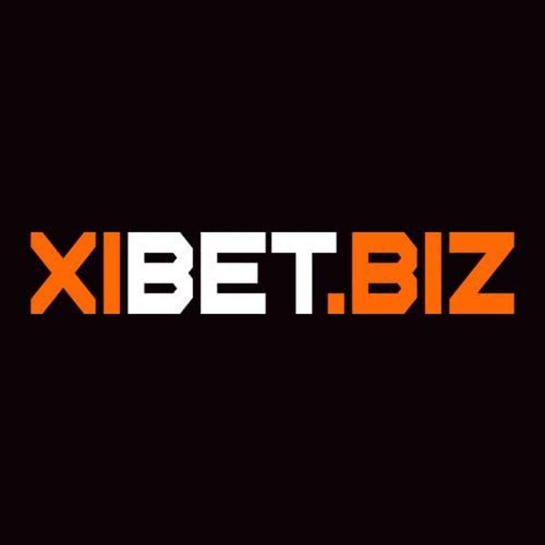Interfaccia e loghi del brand Bigbet24 casino