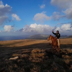 AUD-20230501-WA0000_011433.mp3