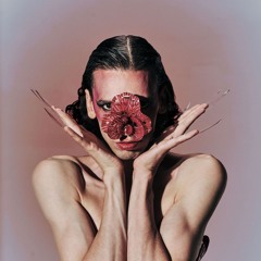 jon darc