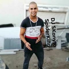 DJ SpiderKing