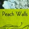 Peach Walls