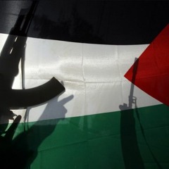 محارب فلسطين