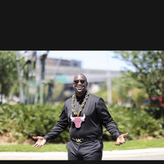 Big Nellz Production