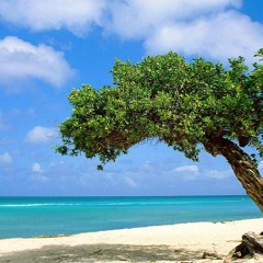 عـدي زاغة - يا ابو عبيدة هيبة كل الكون - يا راعي النخوة و الزلم _ جديد 2021(MP3_128K).mp3