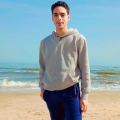 Mahmoud Mohammed Bassiouni