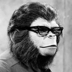 Yodley LIVE pr EXP 180610