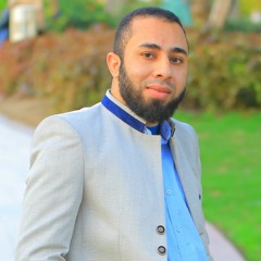 د.محمد امام