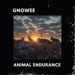 gnowee