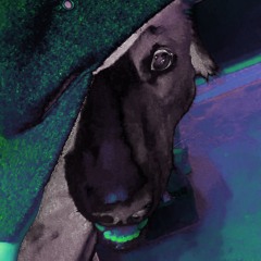 lilliflesh