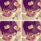 vesisx9sir.jxz