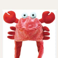 lilcrab