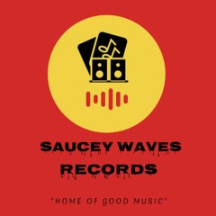 Saucey Waves Records