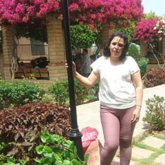 Hanan Fawzy