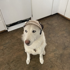 brian