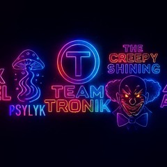 TEAM TRONIK