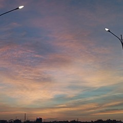 Võ Lưu Thiên Bảo