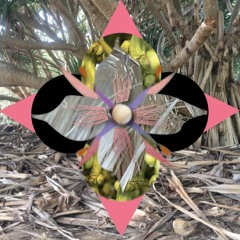 SONGWOOD: Charlotte Haywood + Sue Simpson