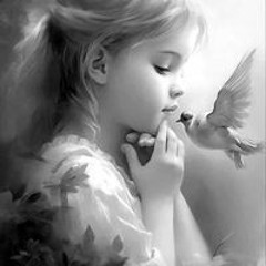 Safy Noby