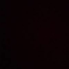 محمد القاضى