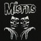 .M.I.S.F.I.T.S.