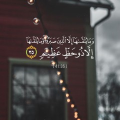 عواشه 💰💰💴💶🪙💵💕💕✈️✈️🎇⛺️